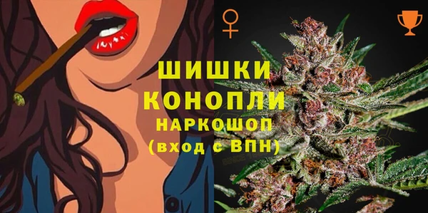 mdpv Пестово