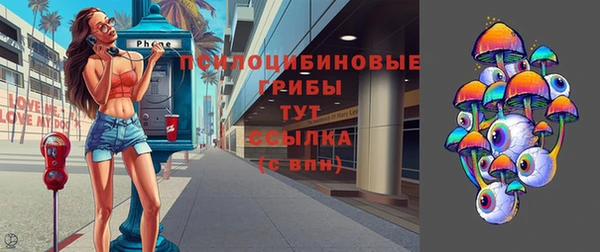 mdpv Пестово