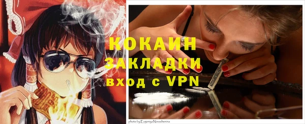 гидропоника Пересвет